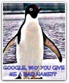 penguin