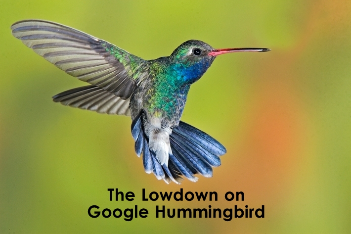 Google Hummingbird