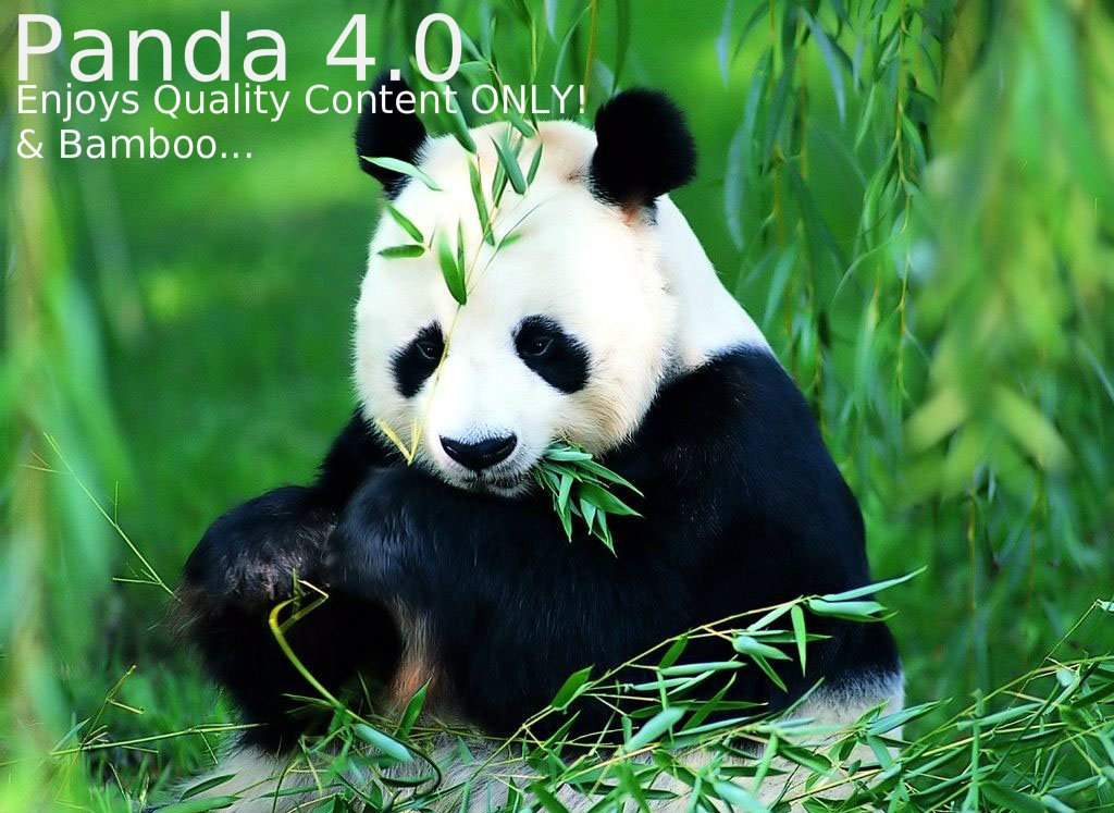 Google Panda 4.0