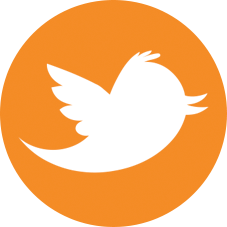 Social Media Icon