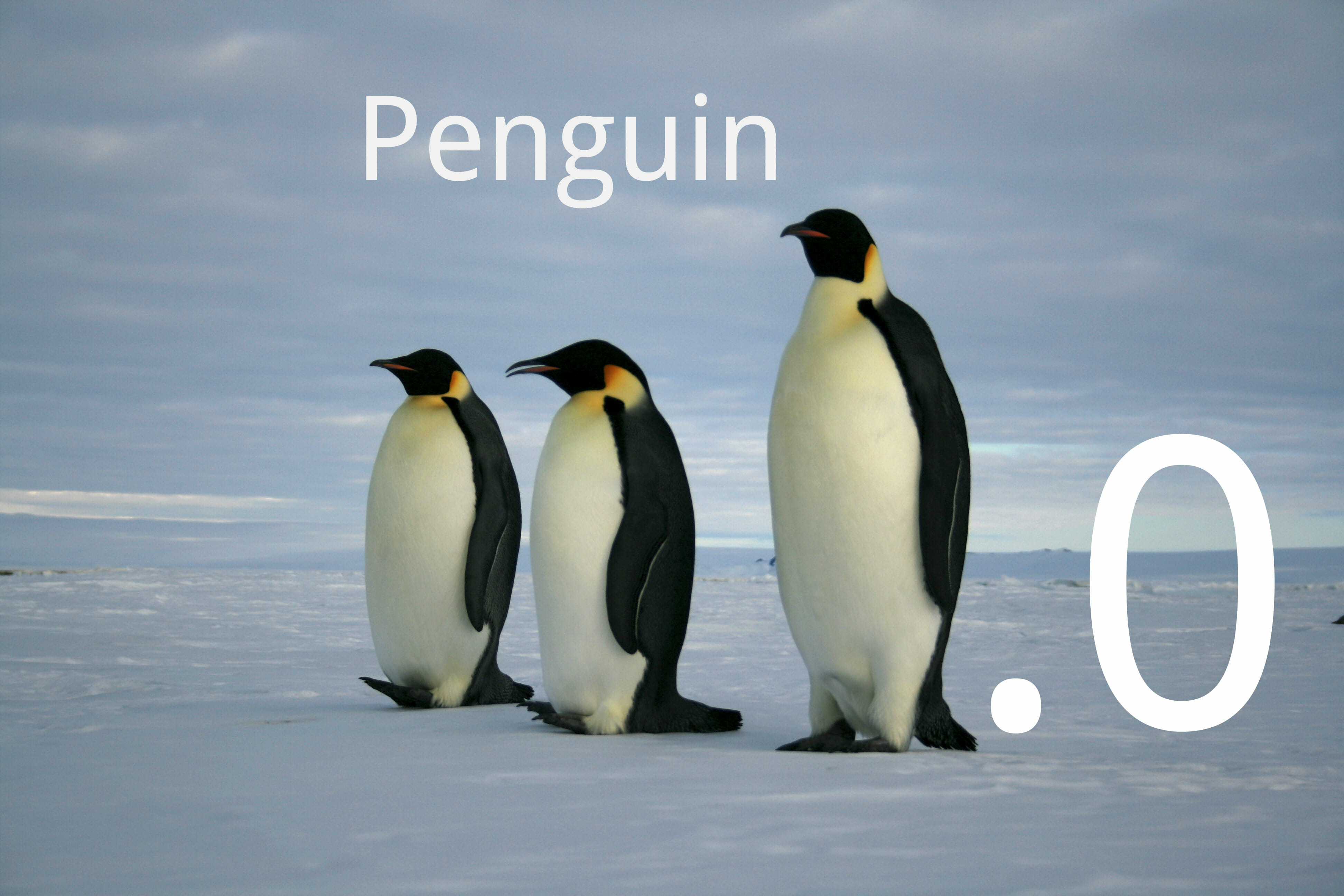 Императорские пингвины живут. Императорский Пингвин Aptenodytes forsteri. Императорский Пингвин в Антарктиде. Королевский Пингвин в Антарктиде. Пингвин Королевский или Императорский.