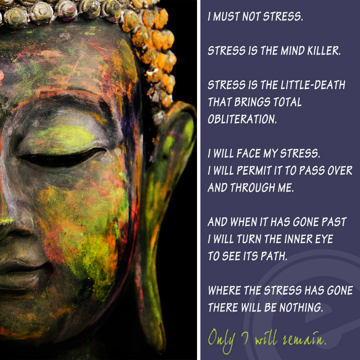 Only I Will Remain Meditation Poem - Eminent SEO