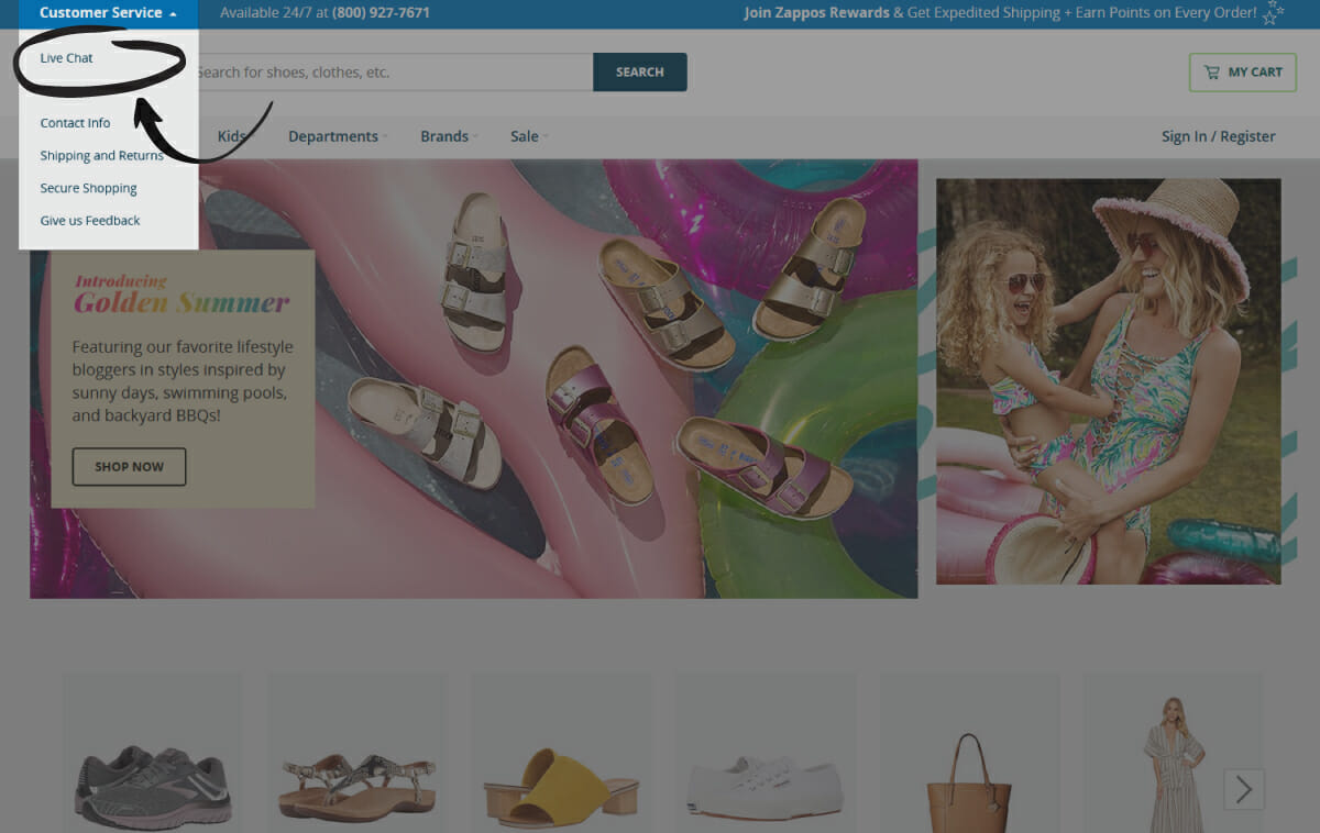 Zappos Homepage Live Chat Menu Feature - ESEO