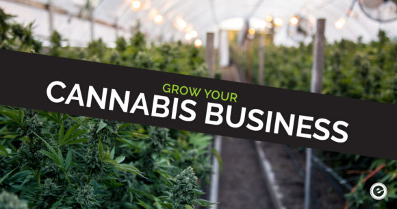 Cannabis Marketing Tips Dispensary Businesses - Eminent SEO