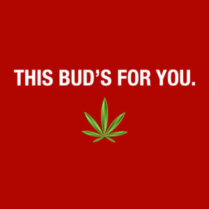 This Marijuana Buds For You - Eminent SEO
