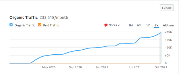 Light-Up Your SEO Potential