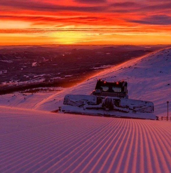 Ski Cat Company Social Media Design and Management