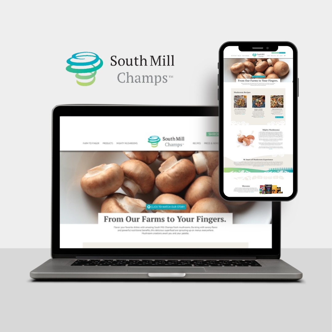 South Mill Champs Web Design & Development