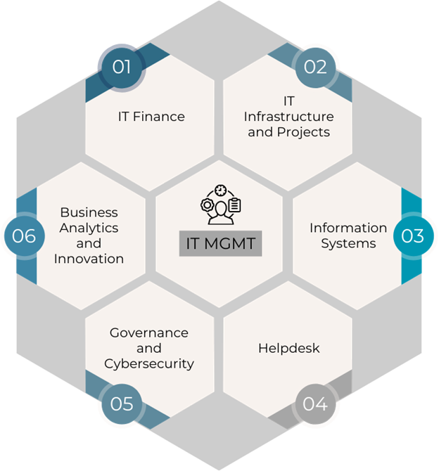 HITSM Portfolio