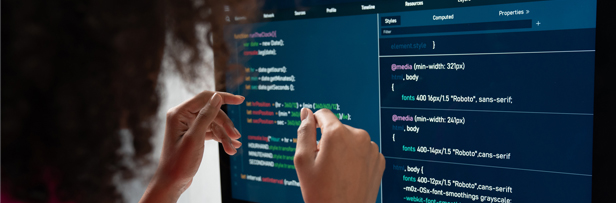 Web Development
